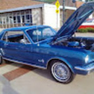 Meet your Posher, David